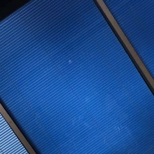 Meet your Posher, Janice